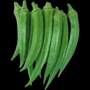 Vegetable Name in english and Hindi