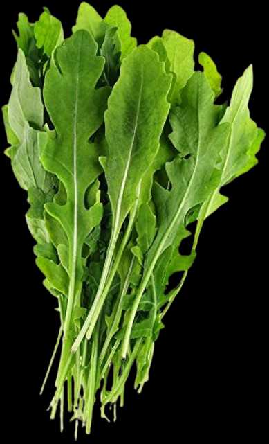 Vegetable Name in english and Hindi