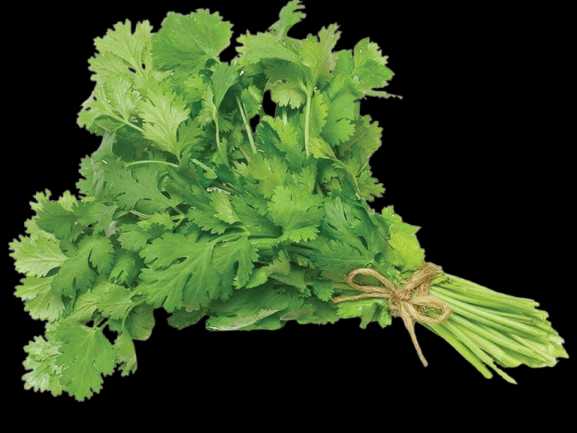 Vegetable Name in english and Hindi