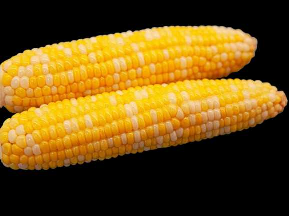 Vegetable Name in english and Hindi