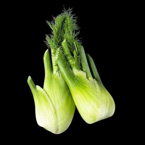 Vegetable Name in english and Hindi