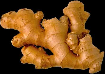 Vegetable Name in english and Hindi