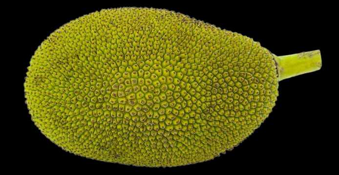 Vegetable Name in english and Hindi