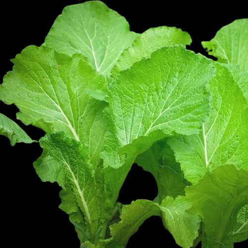 Vegetable Name in english and Hindi