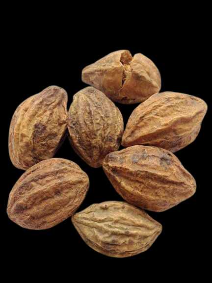 Vegetable Name in english and Hindi