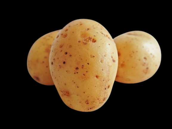 Vegetable Name in english and Hindi