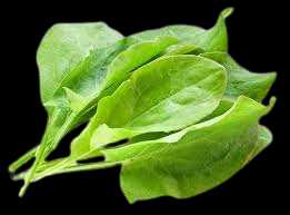 Vegetable Name in english and Hindi