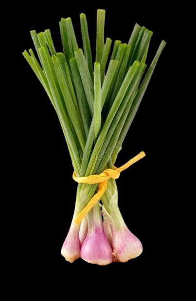 Vegetable Name in english and Hindi