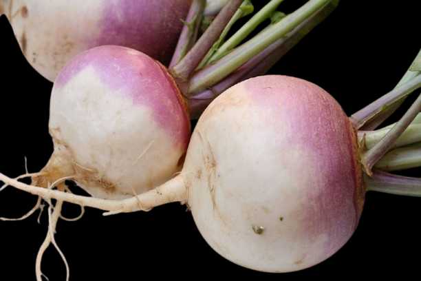 Vegetable Name in english and Hindi